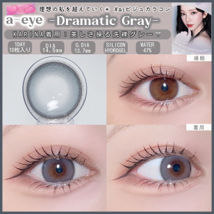 a-eye 1 Day Dramatic Gray ワンデーリフレア エーアイ ドラマティックグレー 